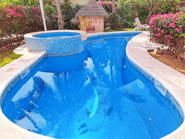 Villa Saly