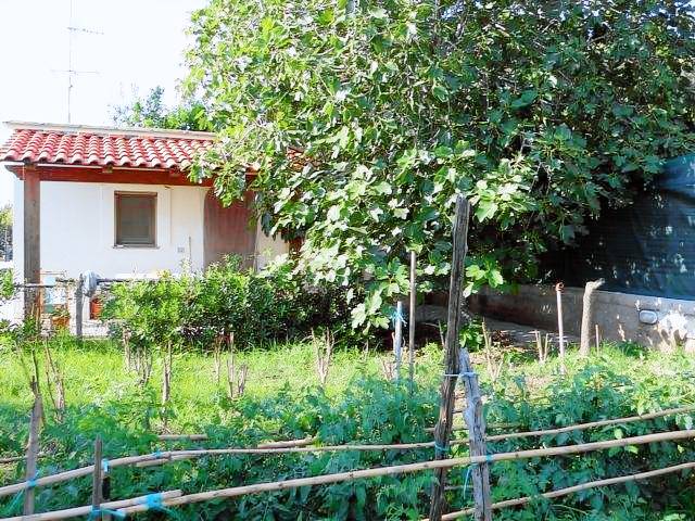 Villa with yard | Garden view — photo 4