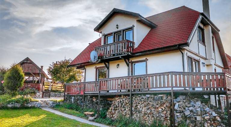Villa | Dogs allowed in Brasov