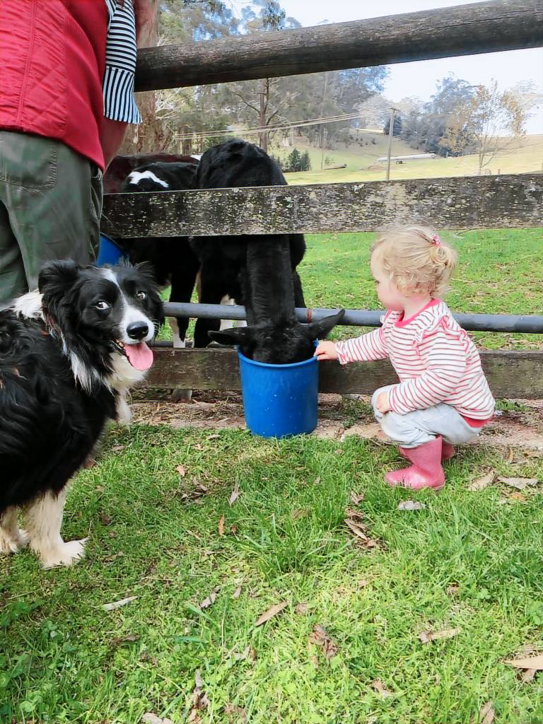 Farmhouse Moss Vale