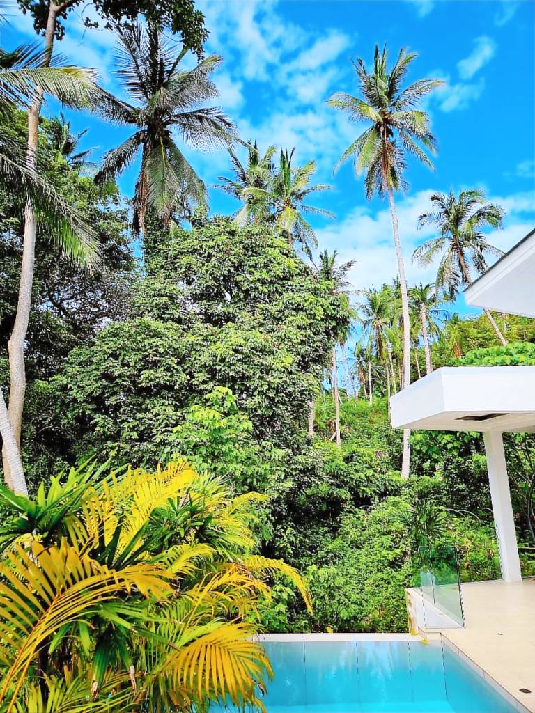 House with pool & garden in Koh Samui