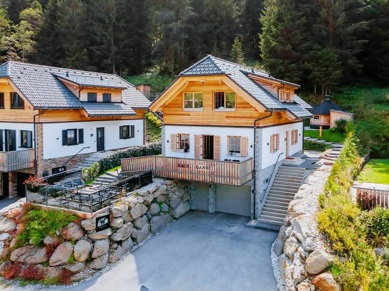 Chalet  Planneralm