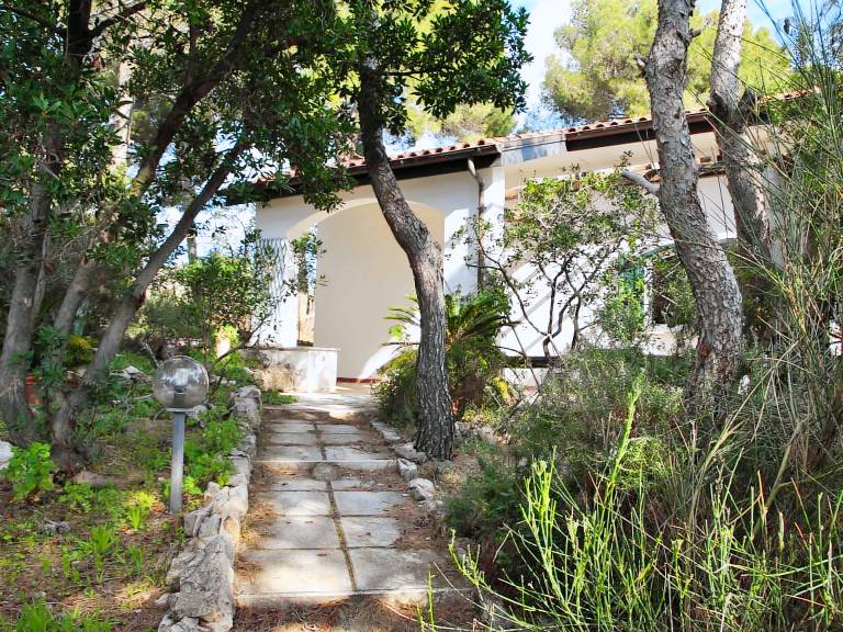 House with terrace, yard & grill — photo 3
