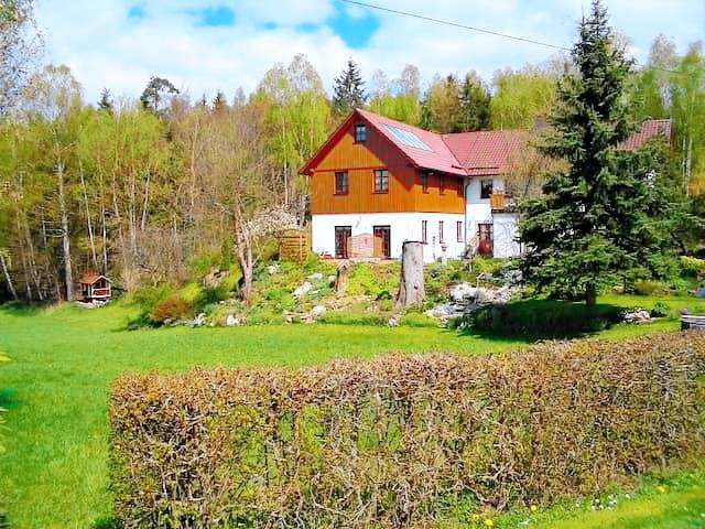 foto16