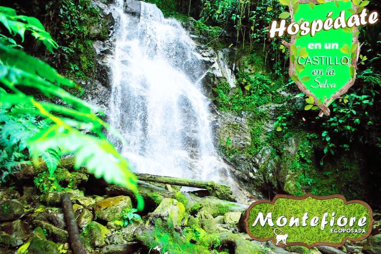 Ecoposada Montefiore