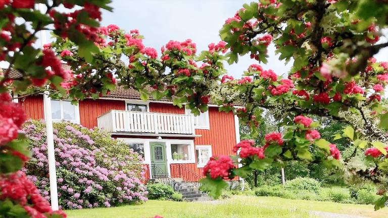 Ferienhaus Bohult