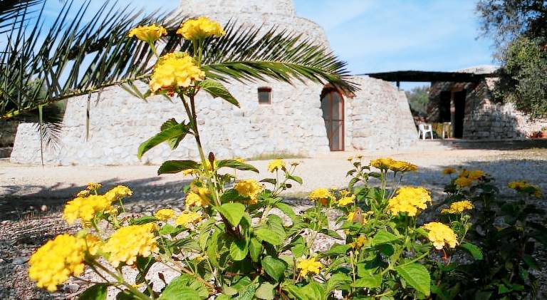 Farm with garden, terrace & barbecue in Patu