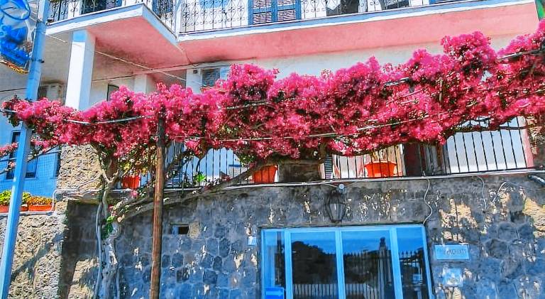 Hotel Bellavista — photo 3