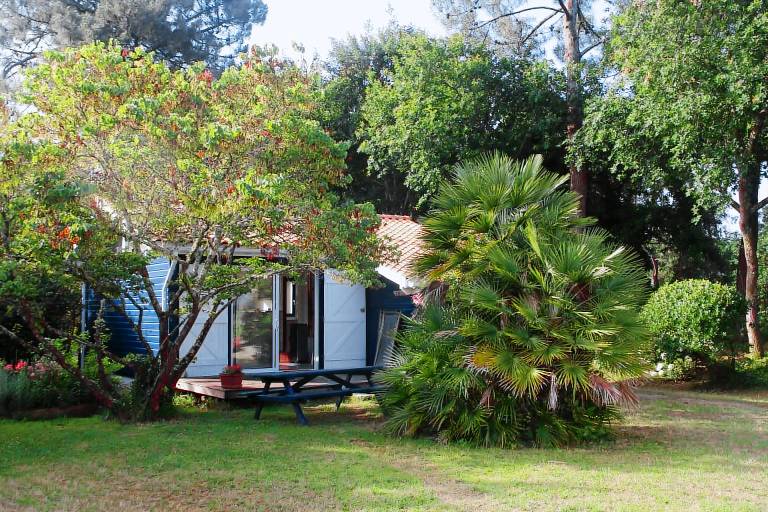 Vacation home with fast internet, garden & patio | Garden view | Suitable for remote work — photo 4