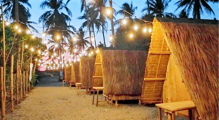 Patar Palms in Bolinao