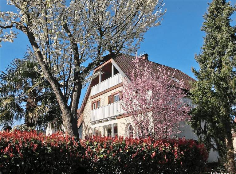 Apartment  Basel-Stadt