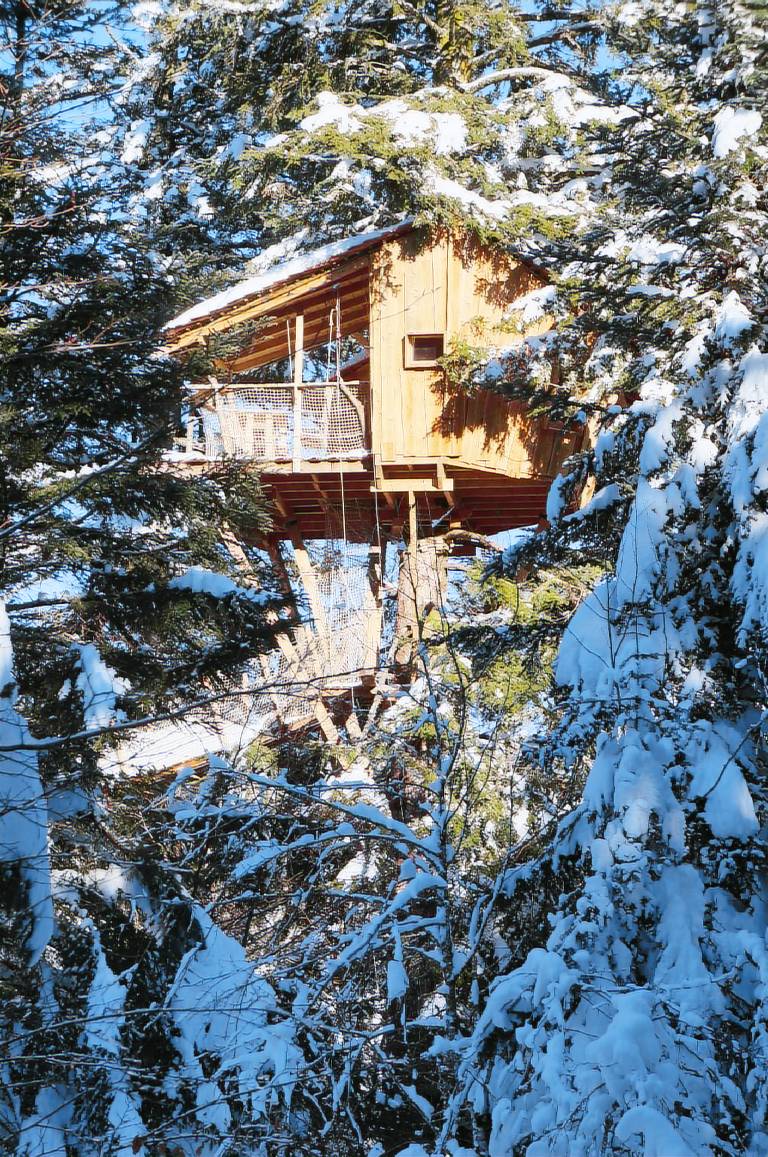 Cabanes des Volcans — photo 3