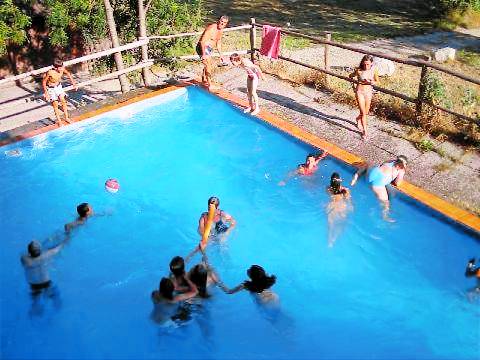 House with pool — photo 4
