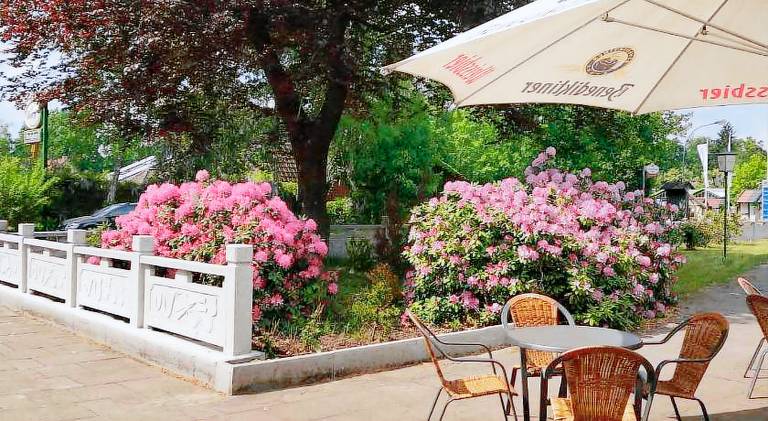 Hotel Sudheide — photo 4