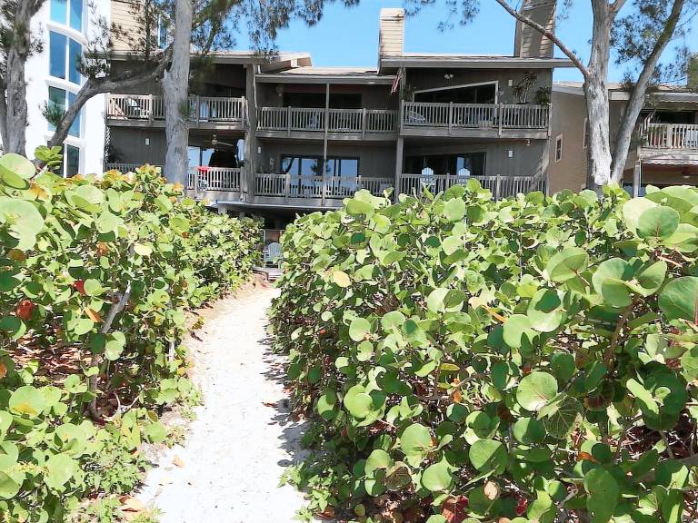 Condo  Indian Rocks Beach