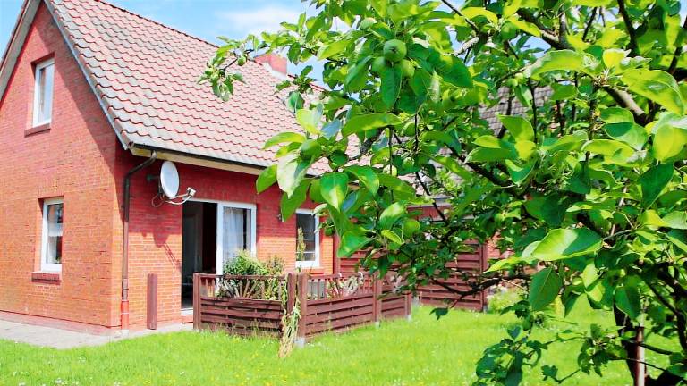 Ferienhaus  Ditzum