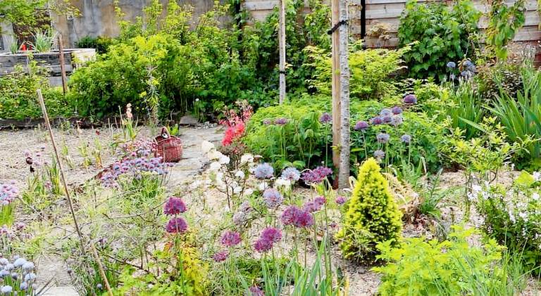 House with pool | Pets are welcome in Dinant