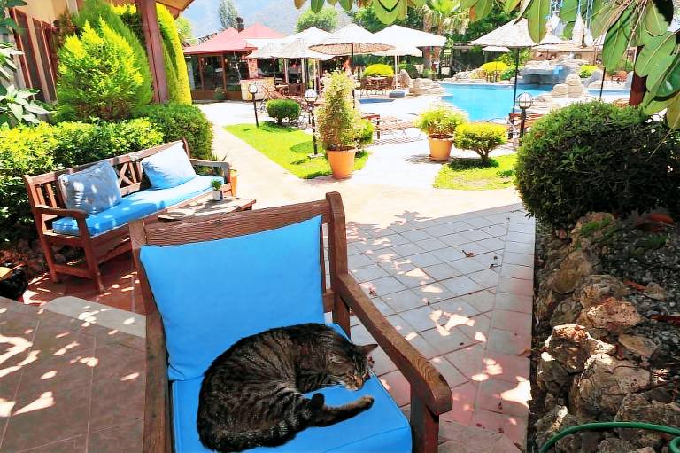 Lodge with terrace, BBQ & pool — photo 5