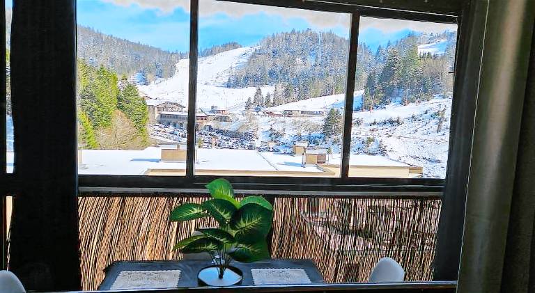 Holiday apartment | Ski nearby | Pet-friendly in La Bresse