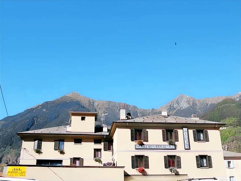 Hotel Delle Alpi