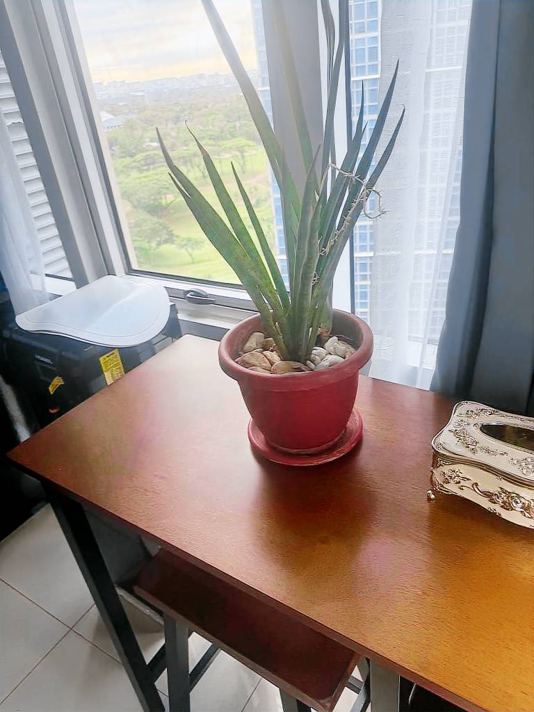 Holiday apartment with pool | City view — photo 4