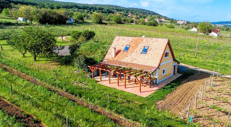 Rental apartment with 1 room for 2 persons in Balatonfured