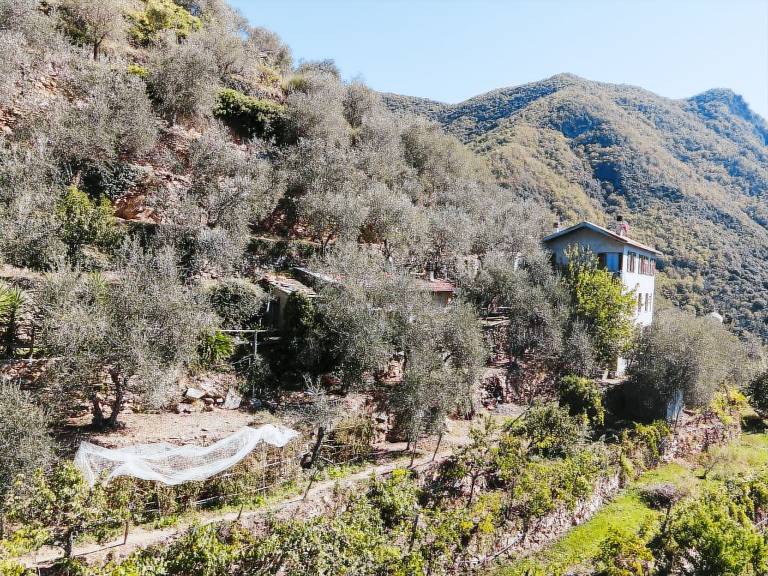 House Molini di Triora