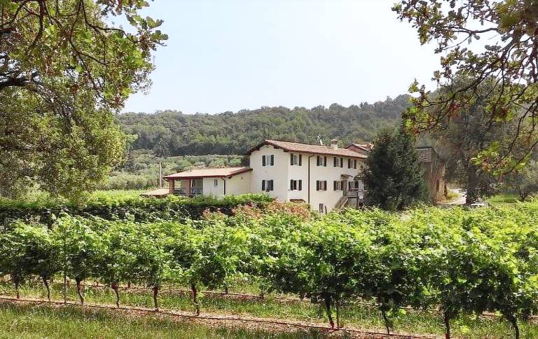 Ca Castellani: Presanella — photo 3