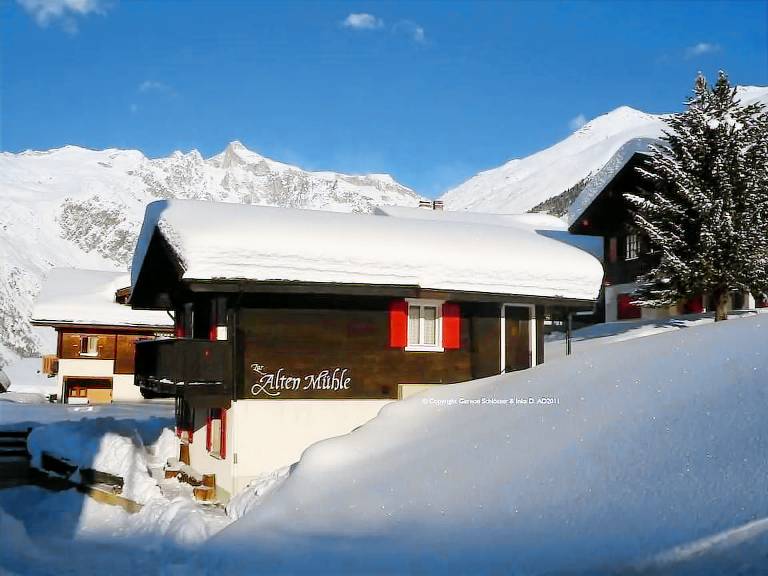 Ferienwohnung mit Hund in Bellwald, Wallis f&uuml;r max. 4 Personen