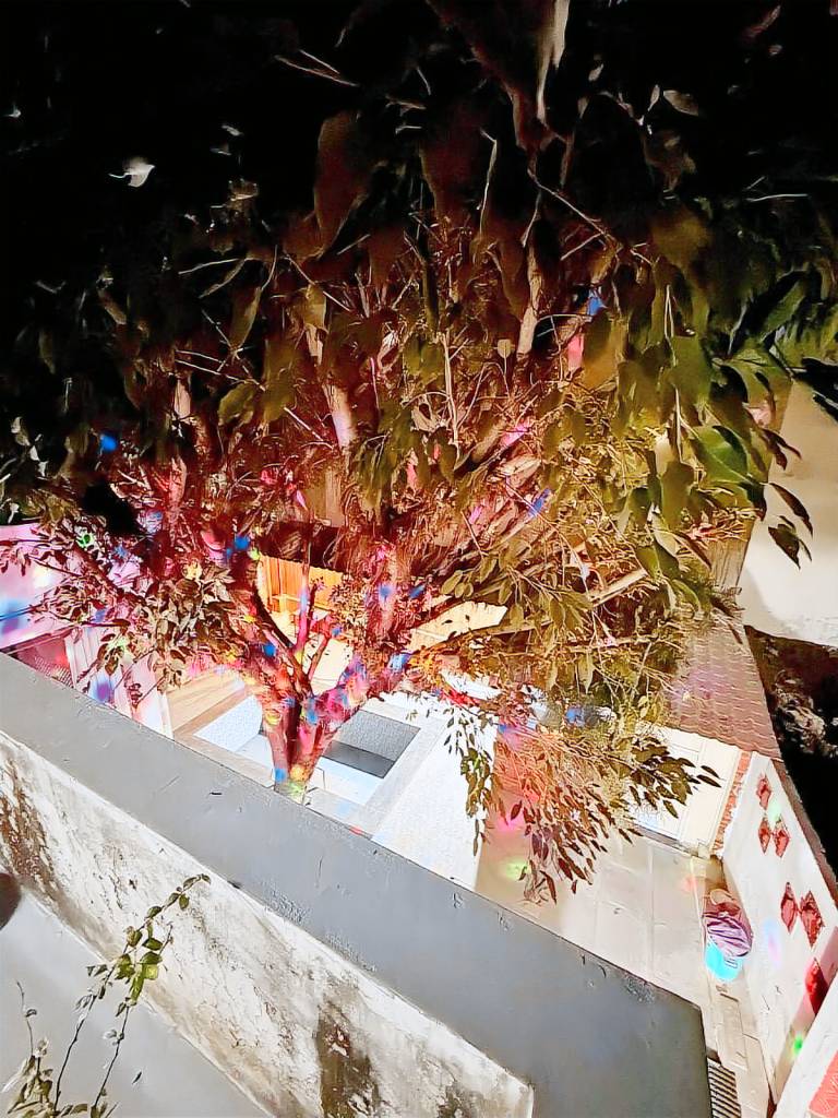 foto14