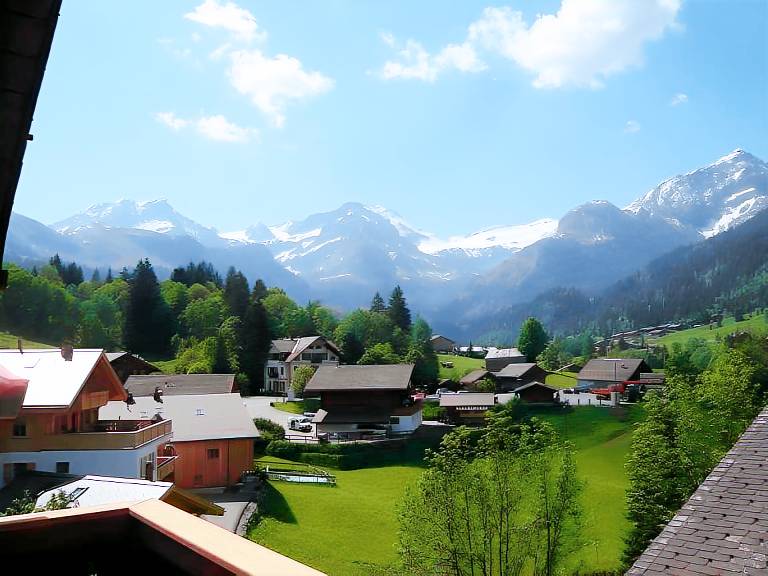 Hotel Wildhorn — photo 4
