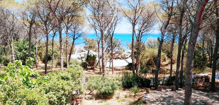 Appartement Cala Liberotto