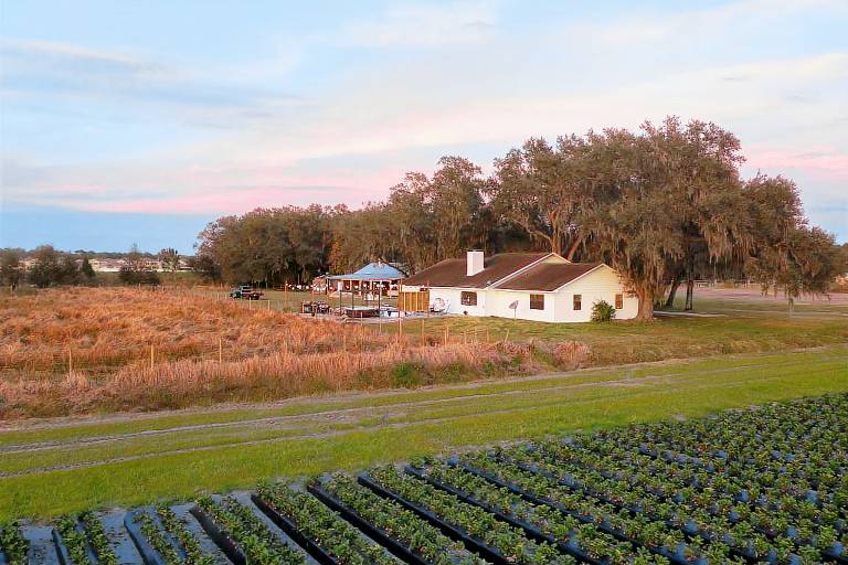 Plant City Home & Guest House w/ Outdoor Pool! — photo 2