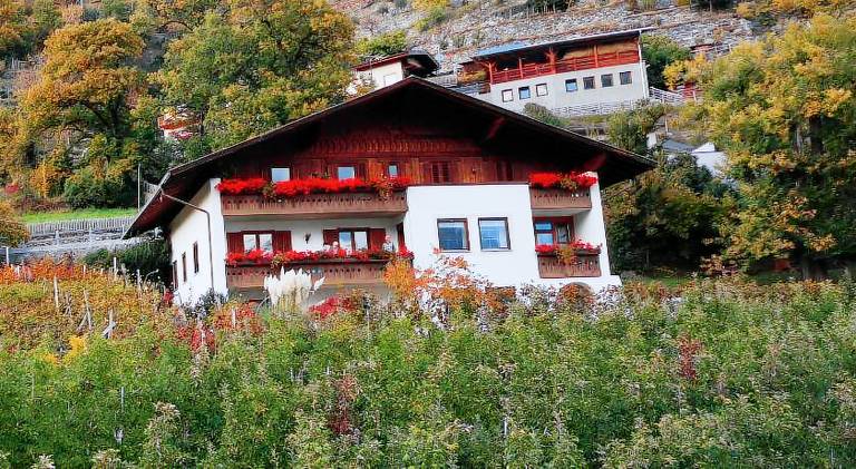 Garni Schuster — photo 4