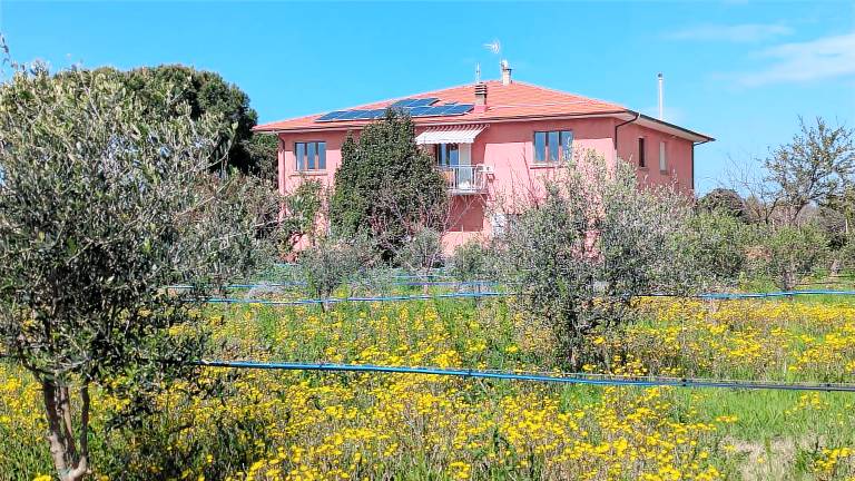 Agriturismo San Vincenzo