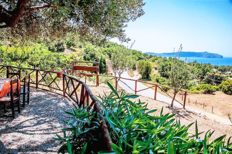 Agriturismo Palinuro