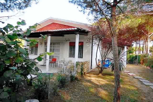 Apartment with yard | Next to the beach | Pet-friendly — photo 2