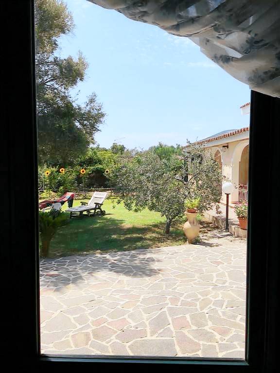 foto1
