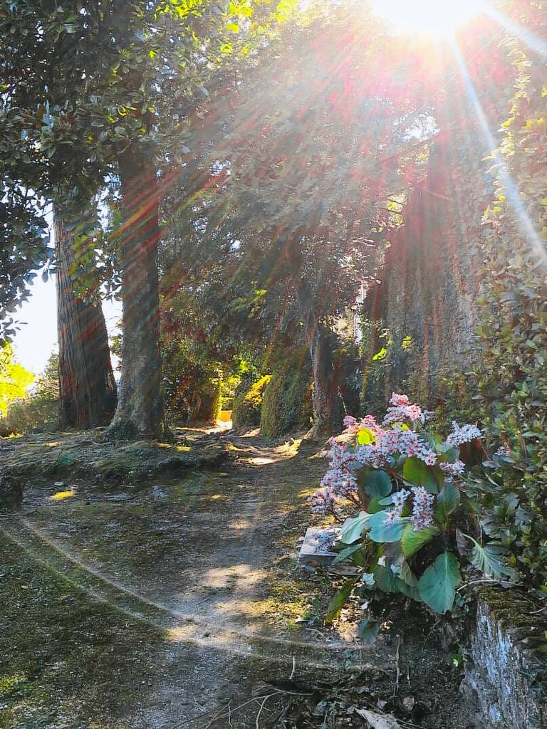 Vacation home with 5 rooms for 8 persons — photo 4