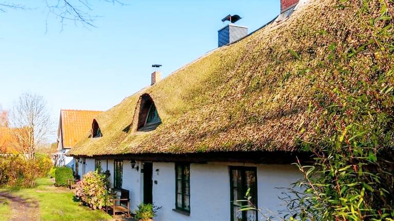 Ferienhaus Vieregge