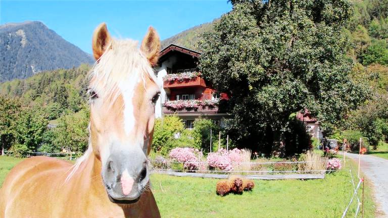 Ferienwohnung Obervellach