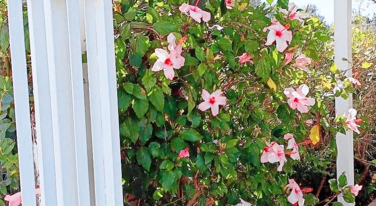 Vacation home with 2 rooms for 6 persons in Ragusa