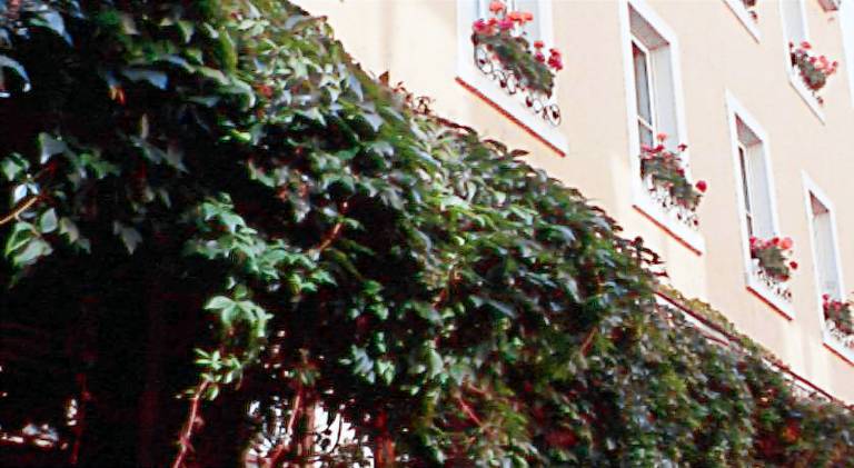 Bayerischer Hof — photo 5