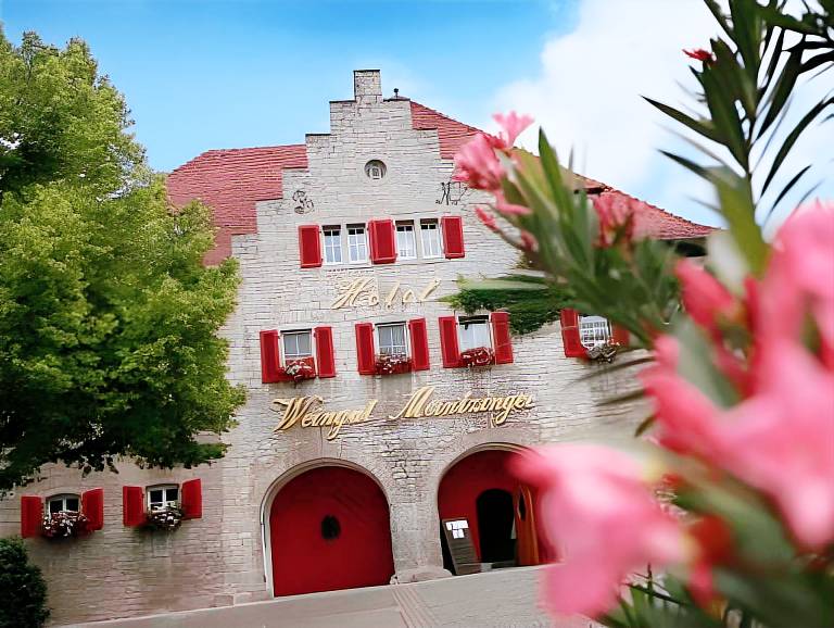 Hotel Weingut Meintzinger