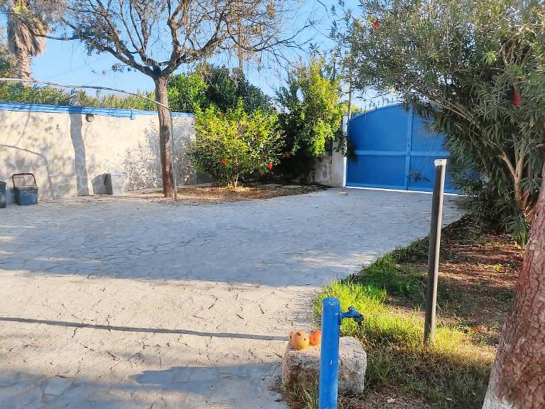 Villa Palma a 80m dalla spiaggia
