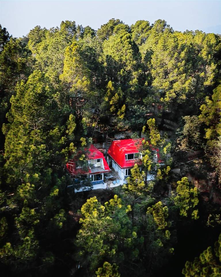 Pinewood Nirvana Jungle Resort in Solan