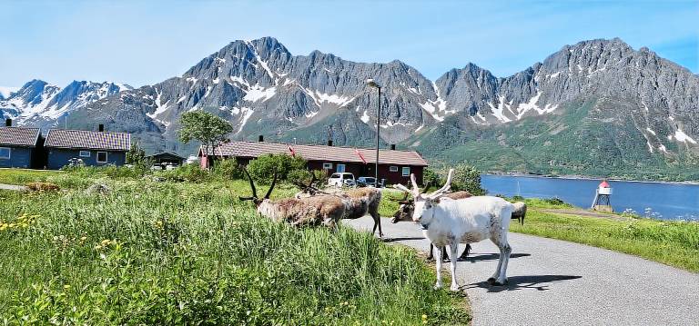Ferienwohnung in Øksfjord, Nordnorwegen f&uuml;r max. 4 Personen