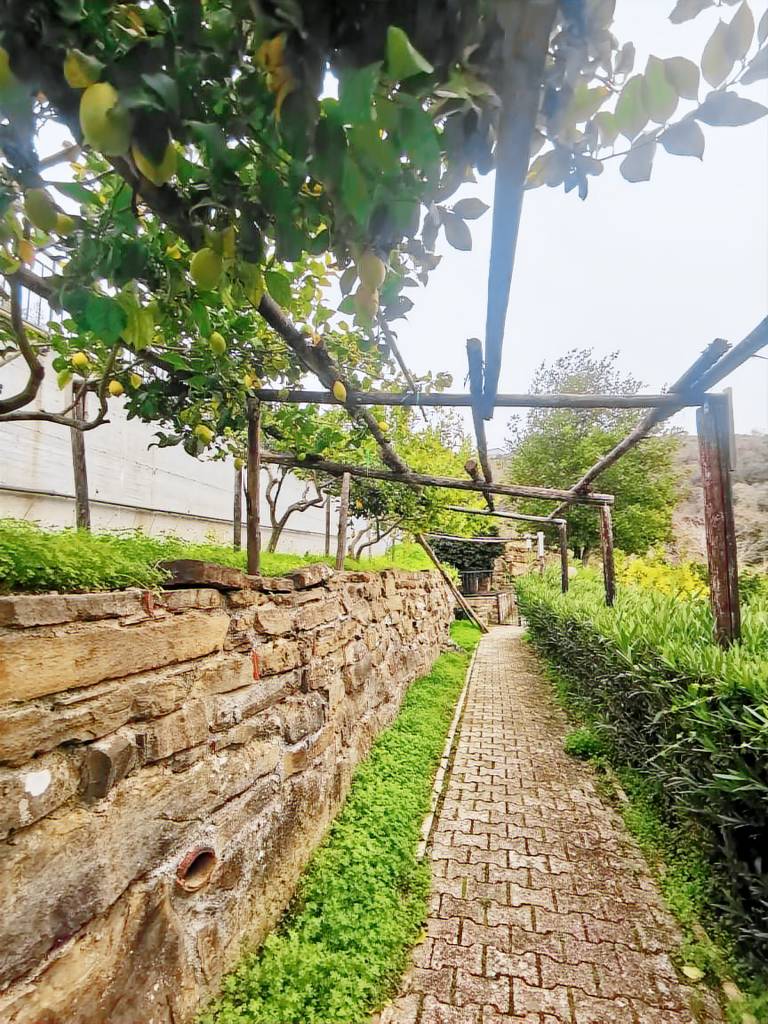 Camera privata Prignano Cilento