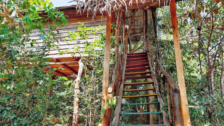 The Jungle paradise ECO Treehouse & Clayhouse in Habarana