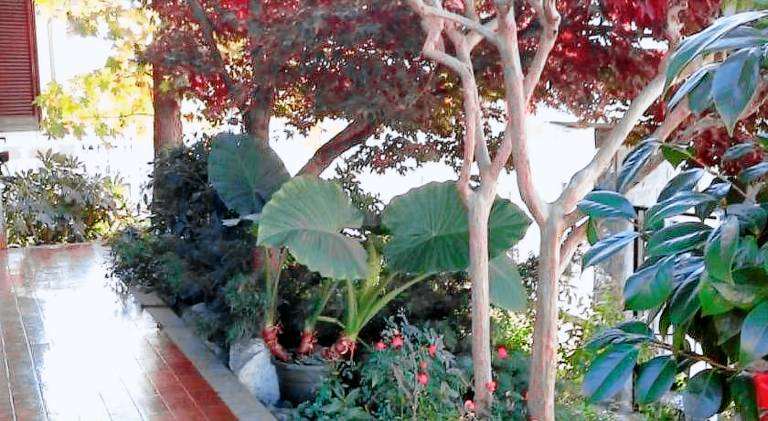 B&B Le Betulle — photo 2